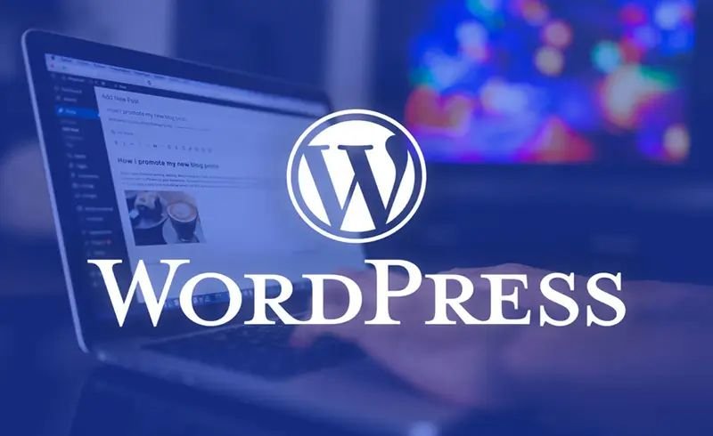 Abdullah Babu, Abdullah Al Mamun, best SEO expert bd, Best SEO Expert In Bangladesh, Digital Marketer, Founder of PouchCare, SEO Adviser, top freelancer, top SEO specialist, web design expert, Web Developer, WordPress SEO developer